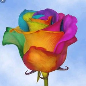 Meet your Posher, Trina